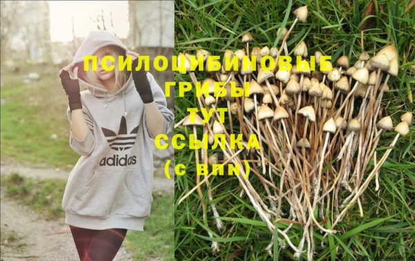 эйфоретик Балахна