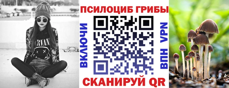 Псилоцибиновые грибы Psilocybine cubensis  Белая Калитва 